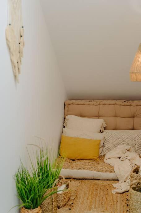 Super Oldtown Apartment Funchal  Ngoại thất bức ảnh